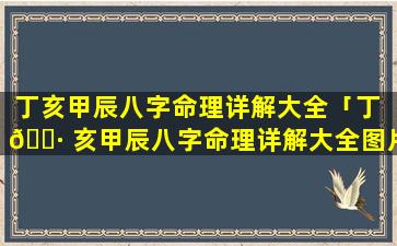 丁亥甲辰八字命理详解大全「丁 🌷 亥甲辰八字命理详解大全图片」